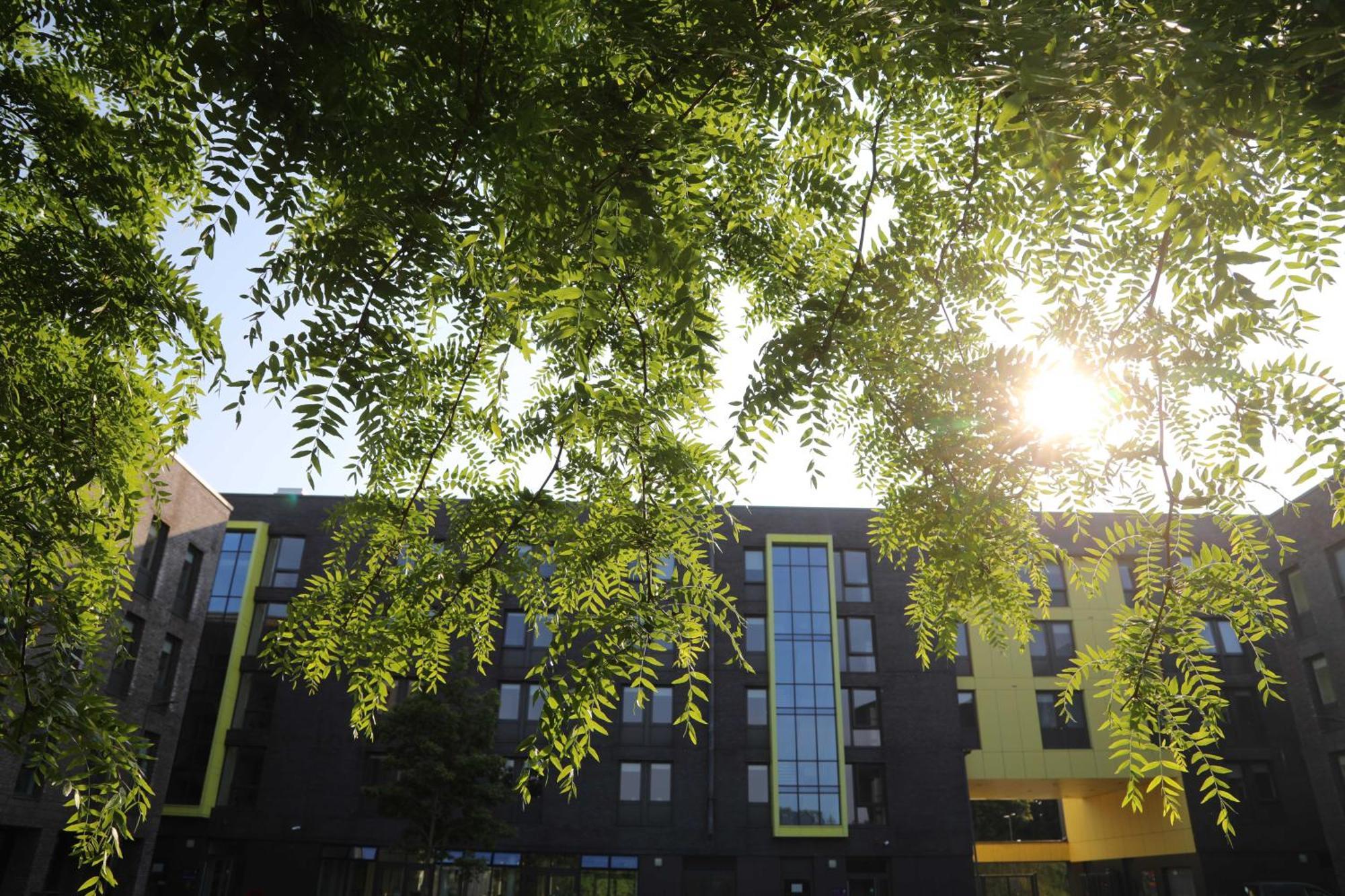 Goldcrest Village Rooms University Of Galway Exteriör bild